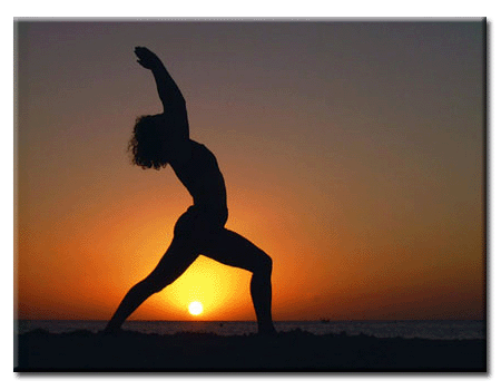 centros de entrenamiento de yoga En los espectaculares Centros en Hollywood, sus estrellas  han convertido a Yoga en un culto